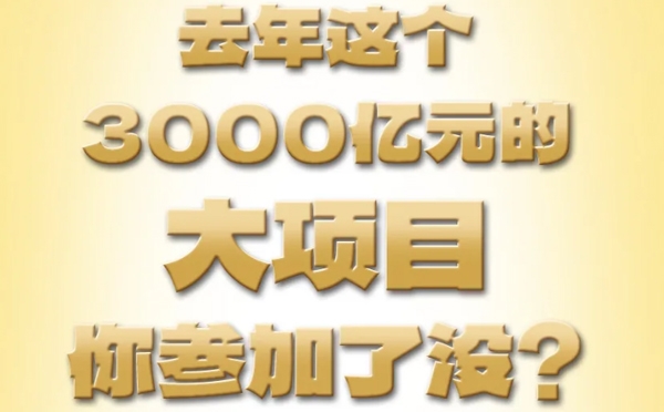 去年這個3000億元的大項目，你參加了沒？