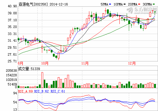 森源電氣轉(zhuǎn)讓蘭考光伏電站項目 預計獲利逾2億元