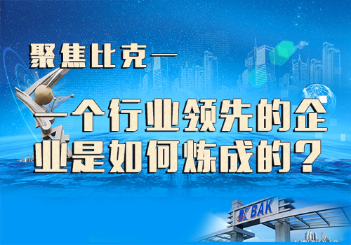 聚焦比克：一個領先的企業是如何煉成的？