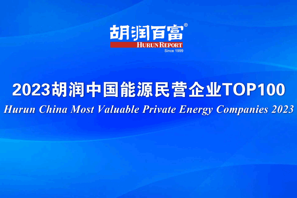 寧德時代/比亞迪/理想拿下前三！中國能源民企100強出爐