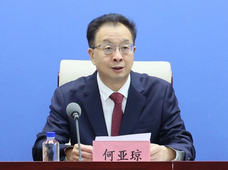 工業(yè)和信息化部消費(fèi)品工業(yè)司司長(zhǎng) 何亞瓊