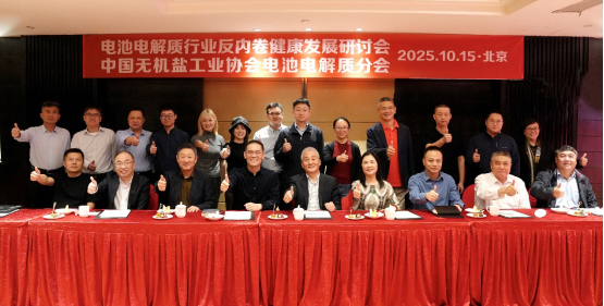 破局“內卷”！電池電解質行業健康發展研討會發布共同倡議