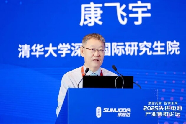 2025先進電池產(chǎn)業(yè)集群論壇圓滿落幕