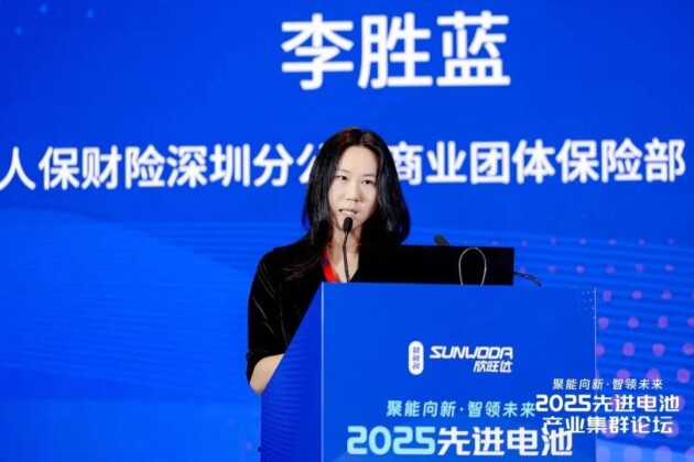 2025先進電池產(chǎn)業(yè)集群論壇圓滿落幕