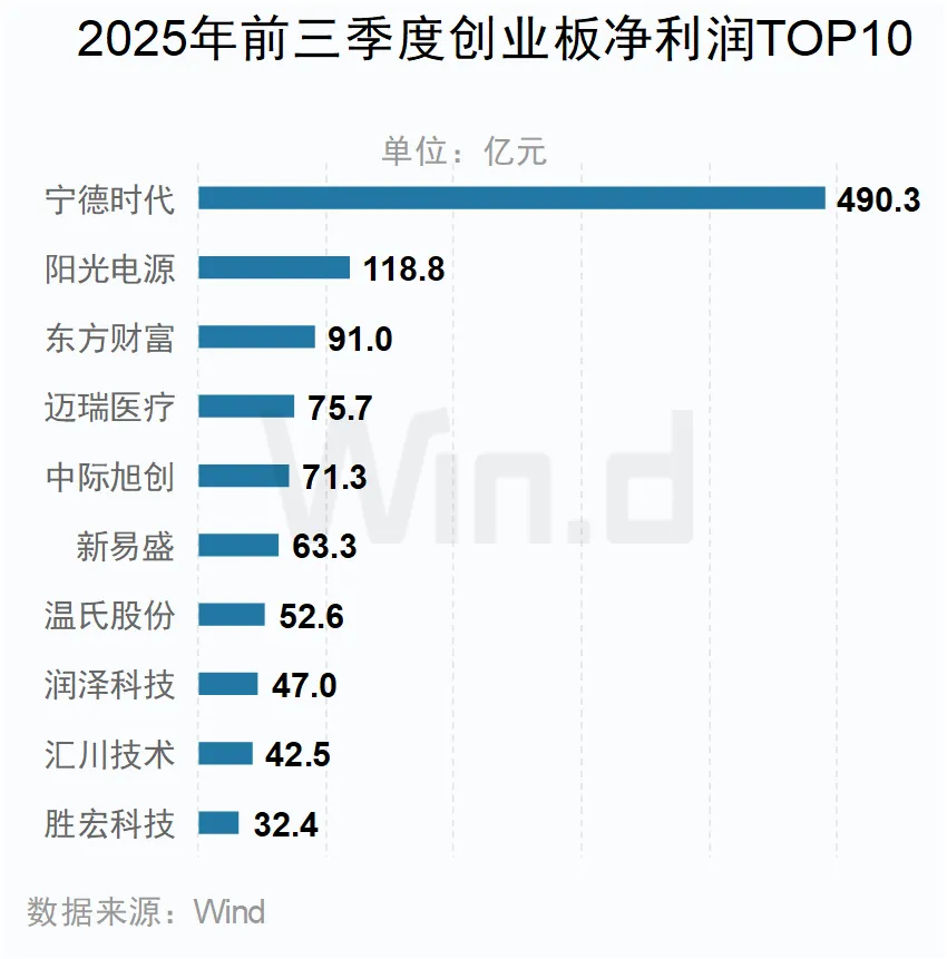 2025年前三季度創業板凈利潤TOP10公司