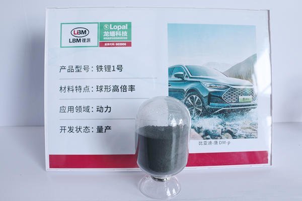 年內已拿下逾675億元訂單！龍蟠科技20億募資擴產申請獲受理