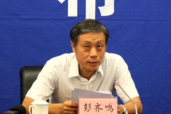 國土資源部地質(zhì)勘查司司長(zhǎng)彭齊鳴
