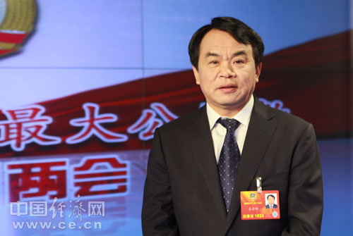 全國政協委員、四川省電力公司總經理王抒祥