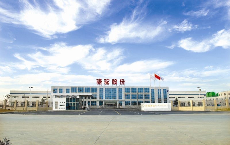 駱駝集團連續(xù)三年入圍民營企業(yè)500強 2015年排357位