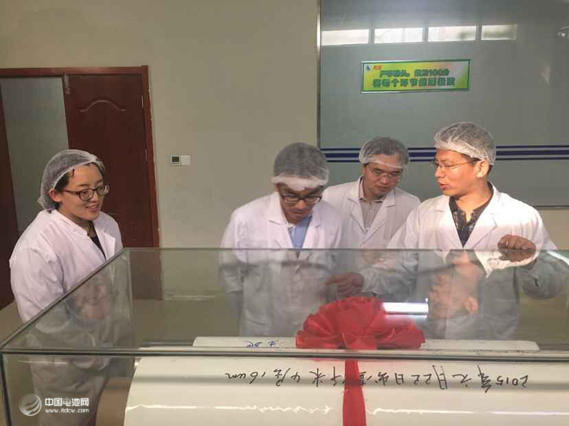 鋰電“達沃斯”組委會學術委員會一行調(diào)研惠強新能源