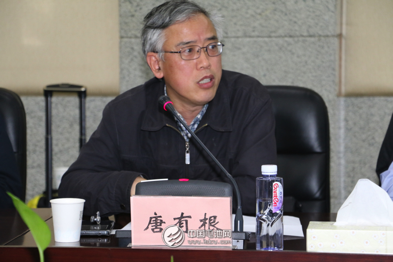 中國(guó)儲(chǔ)能與動(dòng)力電池及其材料專業(yè)委員會(huì)秘書長(zhǎng)、中南大學(xué)教授唐有根　　