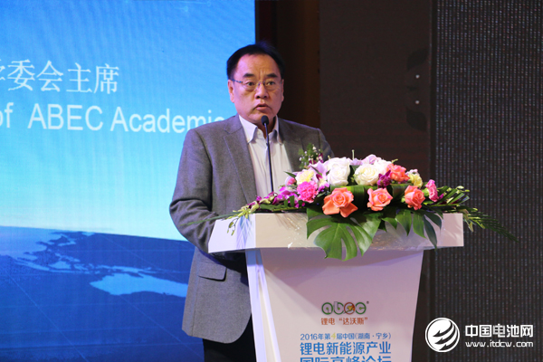 北京大學(xué)教授、鋰電“達(dá)沃斯”學(xué)委會(huì)主席 其魯