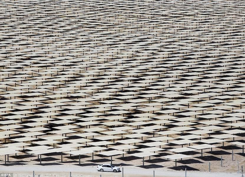 以色列最新沙漠310兆瓦發電站 由五萬太陽能鏡面構成