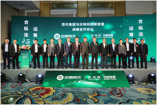 中國恒天與中國沃特瑪新能源汽車產業聯盟戰略合作新聞發布會