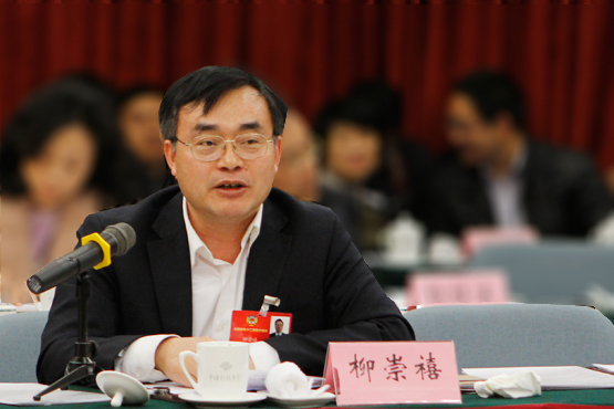 全國政協(xié)委員、協(xié)鑫（集團）控股有限公司副總裁柳崇禧