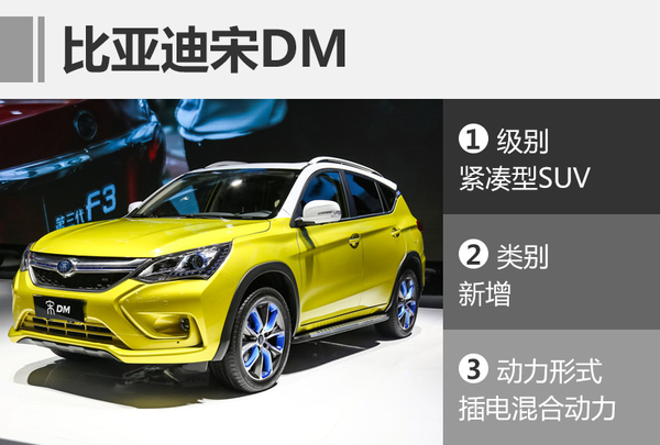 宋DM