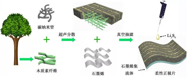 用木質(zhì)素研發(fā)高性能鋰硫電池示意圖 用木質(zhì)素研發(fā)高性能鋰硫電池示意圖