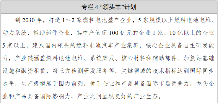 專欄4 “領頭羊”計劃