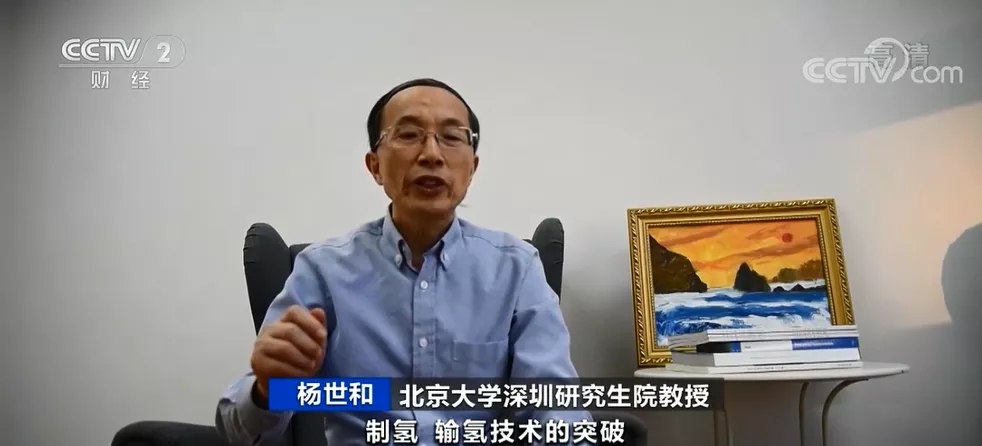 北京大學(xué)深圳研究生院教授 楊世和