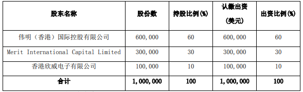 高冰鎳項(xiàng)目公司股權(quán)結(jié)構(gòu)及出資比例