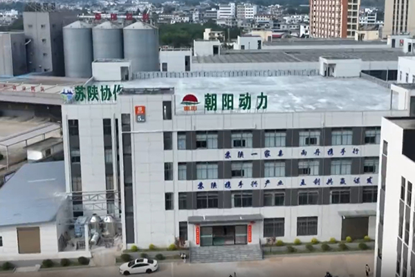 陜西朝陽動力電池總裝基地