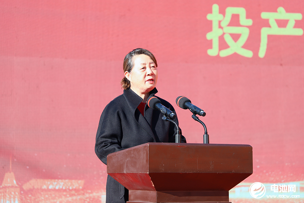 保力新能源科技股份有限公司董事長(zhǎng)高保清