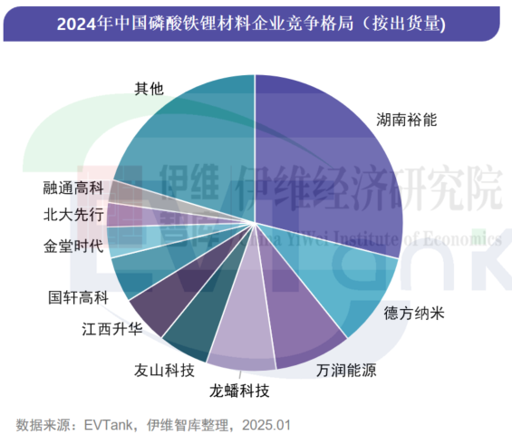 中國(guó)鋰離子電池正極材料行業(yè)發(fā)展白皮書(shū)（2025年）